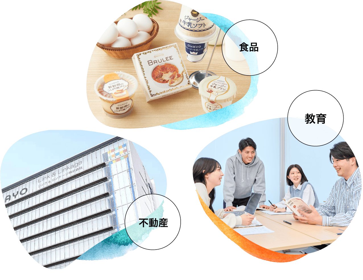 食品 教育 不動産